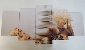 картини от 5 части – Зен камъни с черупки