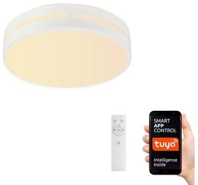 Immax NEO 07153-W40 - LED Димируема лампа PERFECTO 24W/230V Wi-Fi Tuya + д.у.