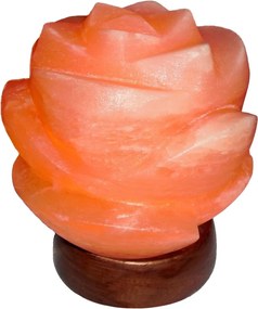 Rabalux Flores Солна лампа 2676