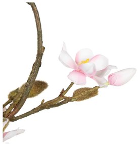 Венец Magnolia – Ixia