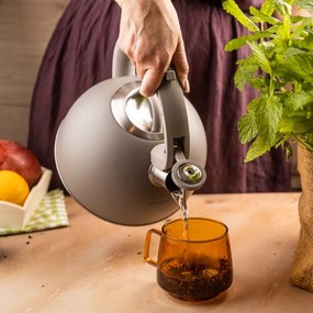 Свирещ чайник Klausberg KB 7912, 2.5 л, Дръжка с дървесен ефект, Индукция, Светлосив