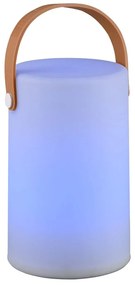 LED външно осветително тяло с дистанционно управление със соларен панел (височина 21 cm) Aruba – Trio