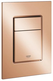 Skate Cosmopolitan S Бутон