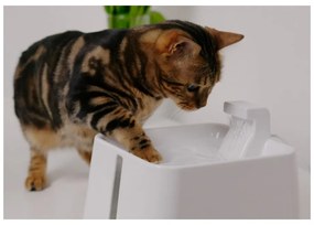 Фонтан за домашни любимци Epic Pet Zen - Plaček Pet Products