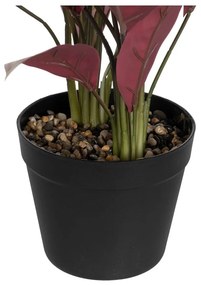 Изкуствено растение (височина 55 cm) Bird of Paradise – Ixia