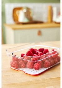 Пластмасов органайзер за хладилник Cauma – Rotho