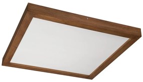 Brilagi - LED осветително тяло за баня WOODY FRAME LED/40W/230V 60x60 IP44 дъб/череша