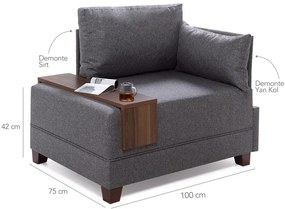 Сив фотьойл с подлакътник от дясната страна и дъска за съхранение Martha Fly - Balcab Home