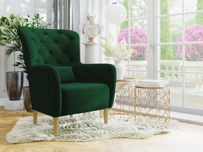 Фотьойл Hemdal-Prasino