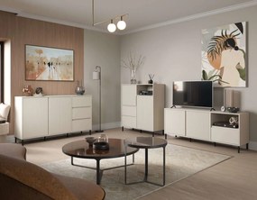 Холна секция Anel