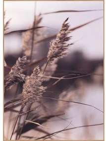 Картина 50x70 cm Mellow Grasses 3 – Malerifabrikken