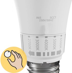 LED крушка 5 цвята светлина GLS E27 230V 10W 5CCT