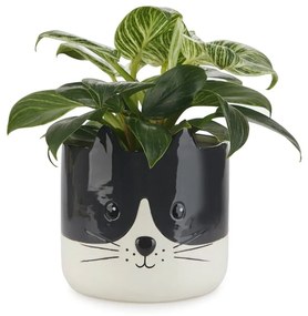 Керамичен съд ø 13,5 cm Kitty - Balvi
