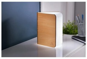 Светлинна декорация с USB в естествен цвят Booklight – Gingko