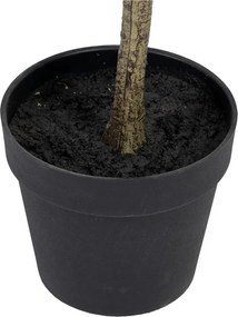 Изкуствен евкалипт (височина 180 cm) Eucalyptus – Ixia