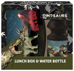 Derform - Комплект бутилка и кутия за храна Dinosaur 17 87228