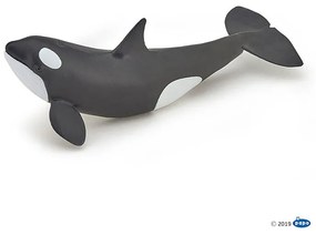 Papo - Фигурка Baby killer whale 56040