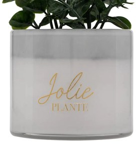 Изкуствено растение atmosphera Tayli Succulent, 18 cm, Различни видове