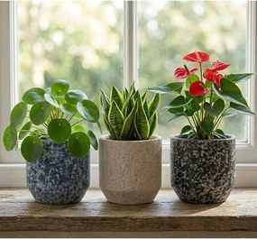 Керамично ръчно изработено покритие за кашпа ø 14 cm Almada – Ego Dekor