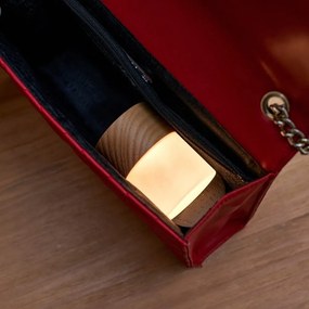 Светлинна декорация с USB в естествен цвят ø 4,5 cm Lemelia – Gingko