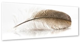 Изображение Glasspik s, 50 x 125 cm Wing - Styler