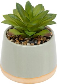 Изкуствено растение atmosphera Be Vintage, 12 cm, Различни видове