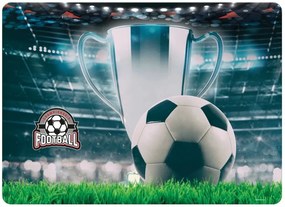 Derform - Подложка ламинирана FOOTBALL 18