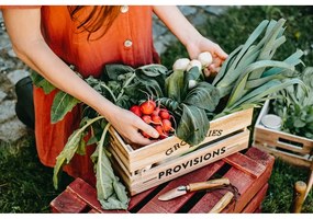 Комплект градински инструменти, изработени от ясенова дървесина Equal - Esschert Design