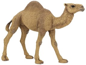 Papo - Фигурка Dromedary 50151