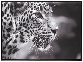 Картина atmosphera Leopard, 58x58 cm