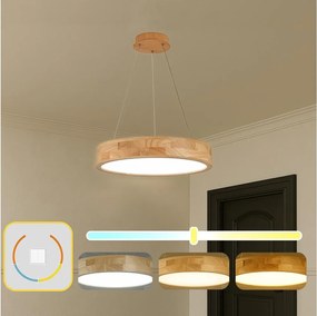Brilagi -LED полилей на кабел FALCON WOOD LED/30W/230V 3000/4000/6000K 45 cm дърво