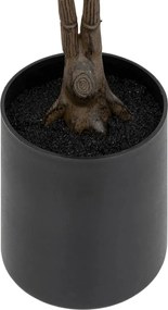 Изкуствено растение atmosphera Agnolia, 76 cm