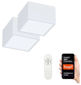 Immax Neo 07072L-15BD- К-кт 2x LED Димируема лампа CANTO 2xLED/12W/230V + д.у.