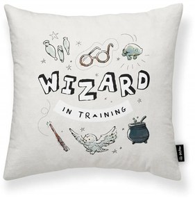 Калъфка за възглавница Harry Potter Wizard Светло сив 45 x 45 cm