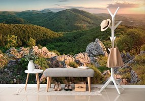 Самозалепващ фототапет – Природа, обляна в слънце