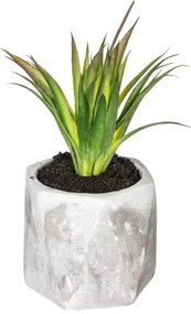 Изкуствено растение atmosphera Succulent, 14 cm, Различни видове