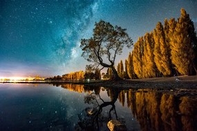 Фототапет – Дърво под звездно небе