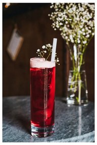 Комплект от 6 бели стъклени сламки за пиене с дължина 20 cm - Vialli Design