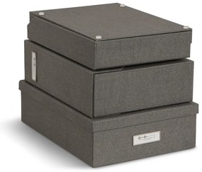 Картонени органайзери за докумнети в комплект от 5 бр. Holger – Bigso Box of Sweden