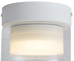 Модерна таванна лампа бяла с прозрачно стъкло - Puck