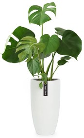 Fox & Fern Саксия Almere Fibre Stone, идеална за растения, ръчно изработена, конусовидна