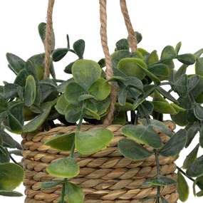 Изкуствено растение atmosphera Patri Hanging, 50 cm, Различни видове