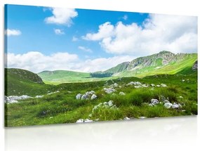 Картина на платно – Долина в Черна гора