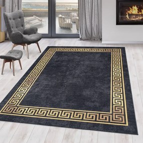 Антрацитен килим подходящ за пране 160x230 cm Fiesta – Ayyildiz Carpets
