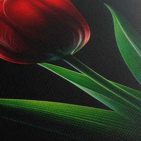 Картина на платно – Нощен цвят на лале