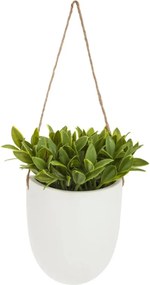 Изкуствено растение atmosphera Hanging, 20 cm, Различни видове