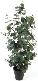 Изкуствен евкалипт - PT LIVING