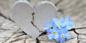 Картина на платно – Сърце на старо дърво