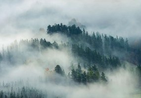 14522VEXXXL - Флис