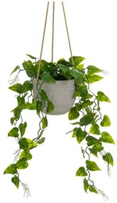 Изкуствено растение (височина 46 cm) – Casa Selección